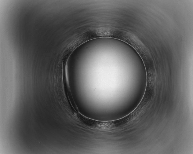 X0000096990125200802081436