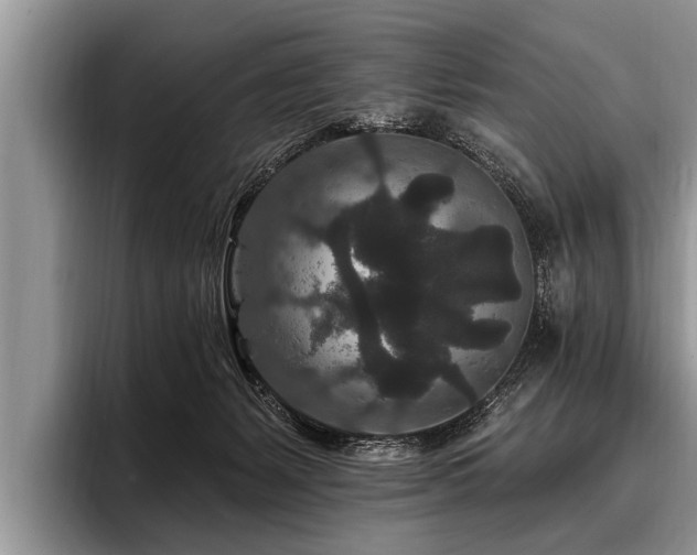 X0000096990127200802081435