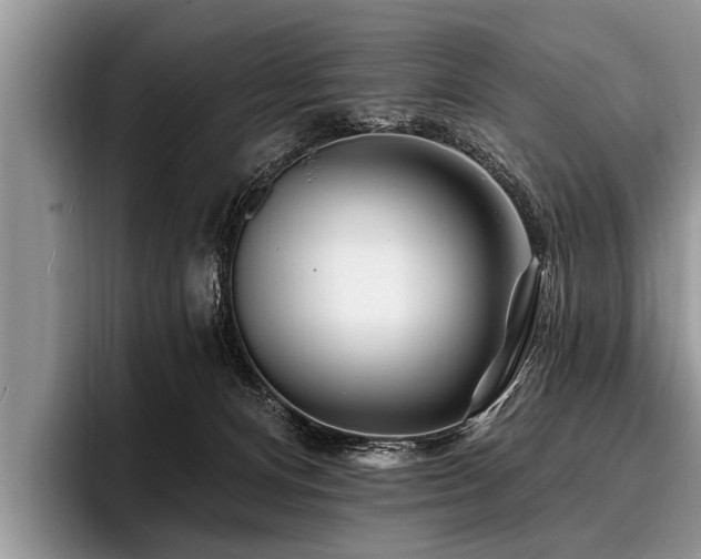 X0000096990128200802081435