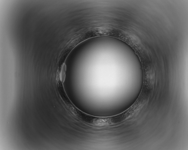 X0000096990129200802081435