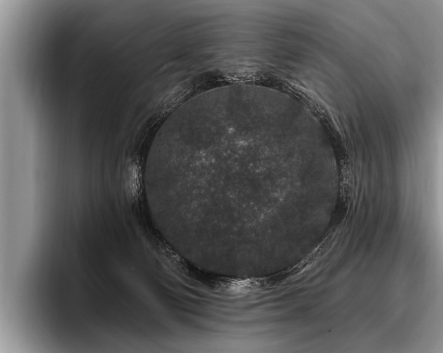 X0000096990130200802081435
