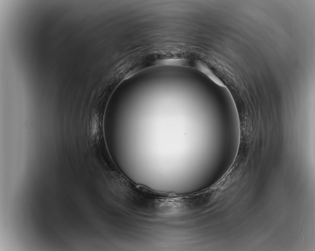 X0000096990132200802081435