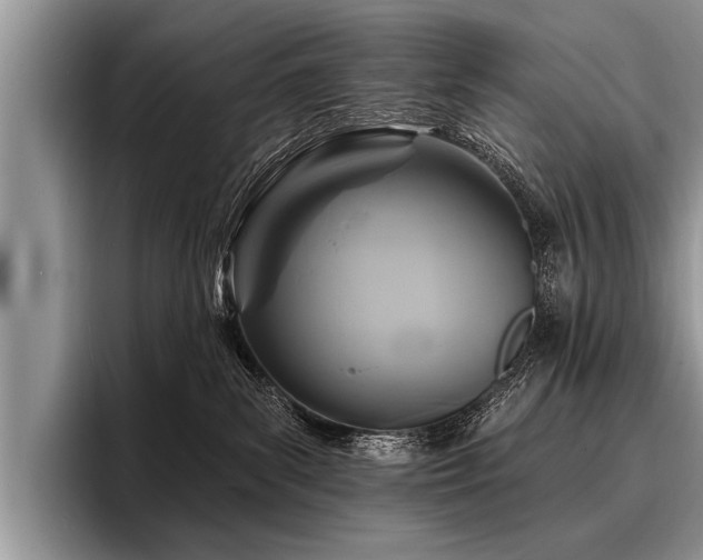 X0000096990139200802081435