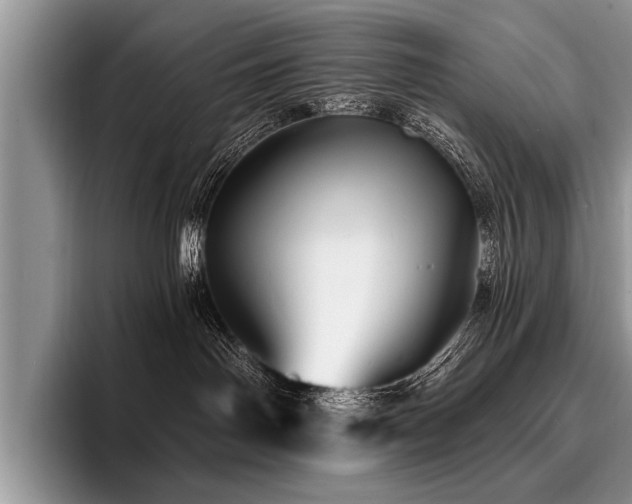 X0000096990142200802081435