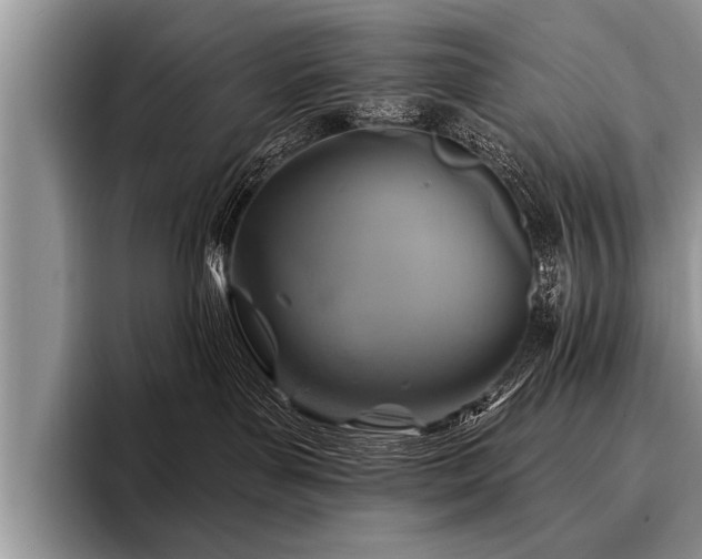 X0000096990143200802081435