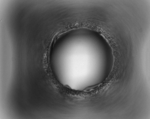 X0000096990144200802081435