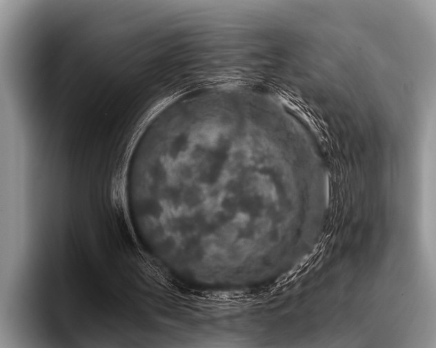 X0000096990147200802081435