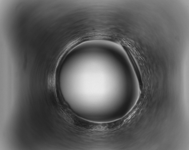 X0000096990148200802081435