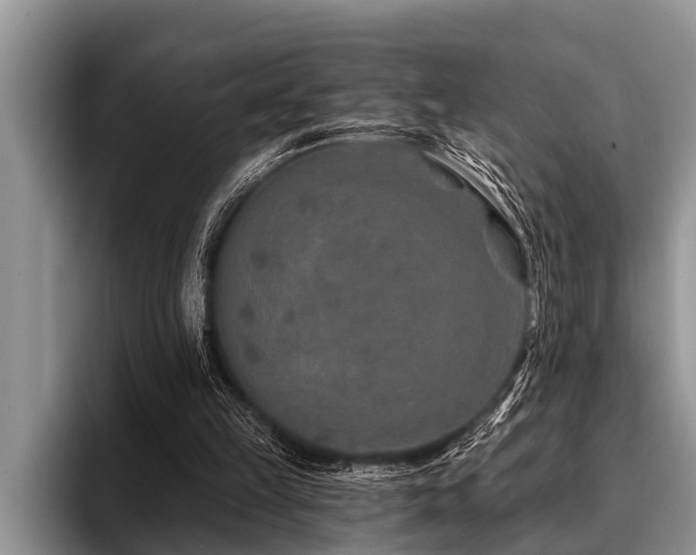 X0000096990149200802081435