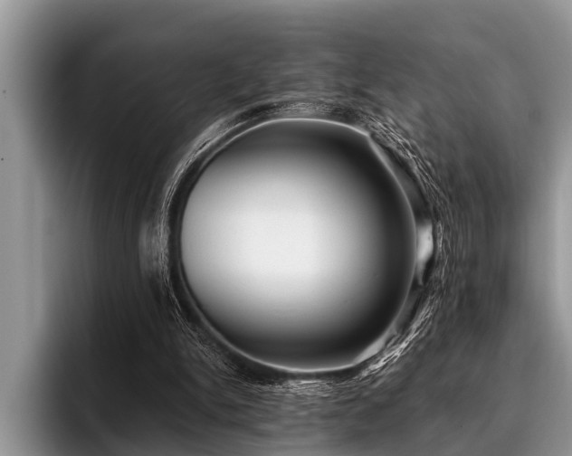 X0000096990150200802081435
