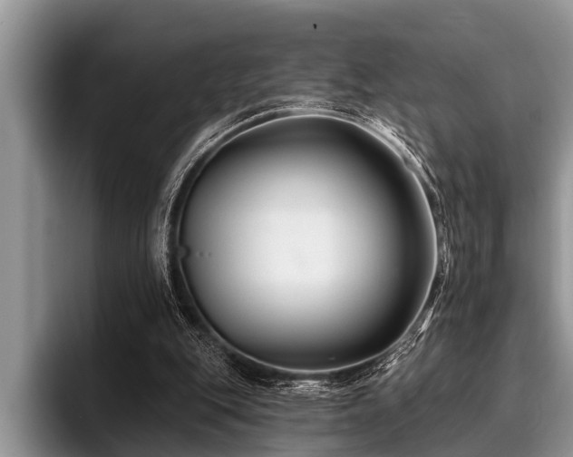 X0000096990151200802081435