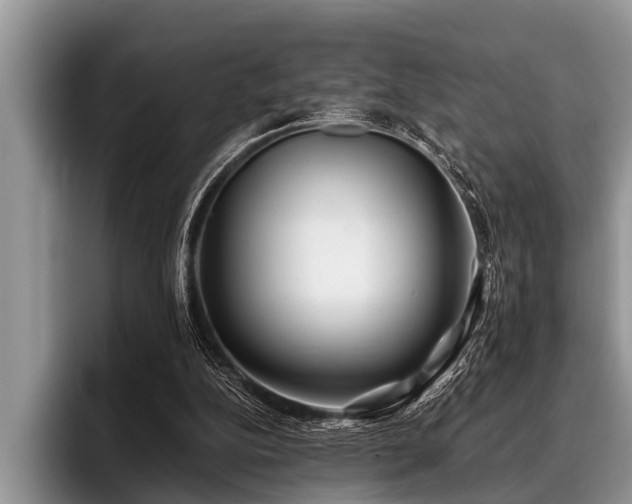 X0000096990152200802081435