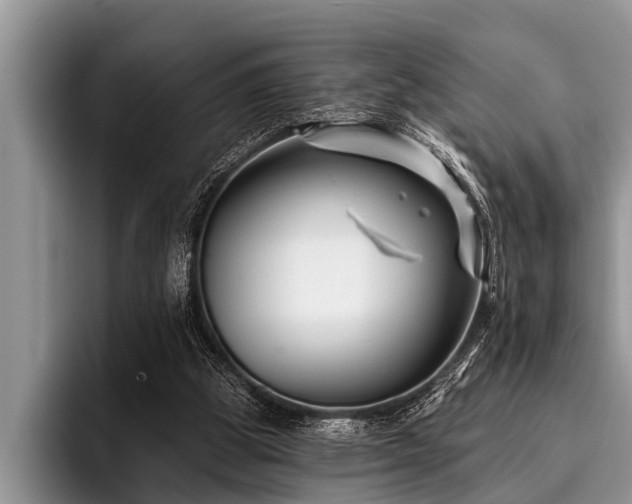 X0000096990153200802081435