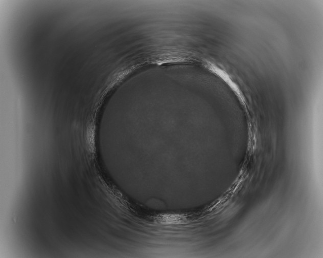 X0000096990154200802081435