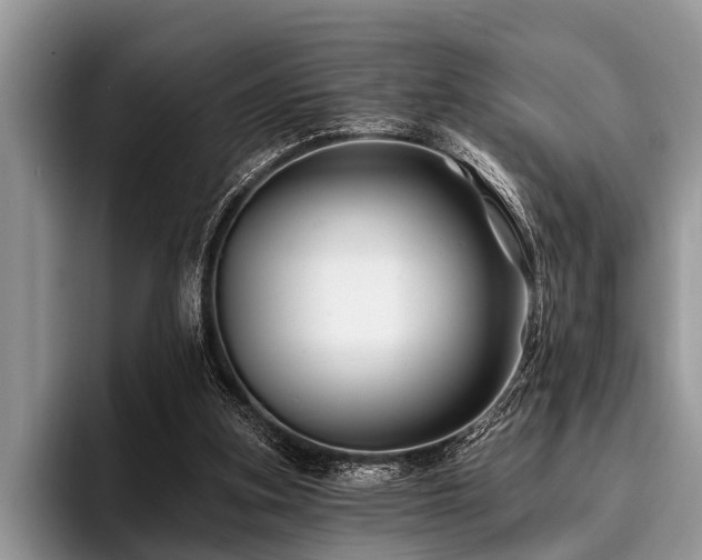 X0000096990155200802081435