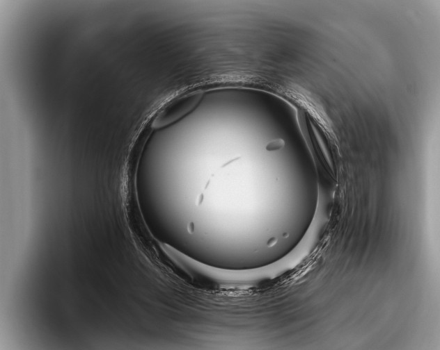 X0000096990156200802081435