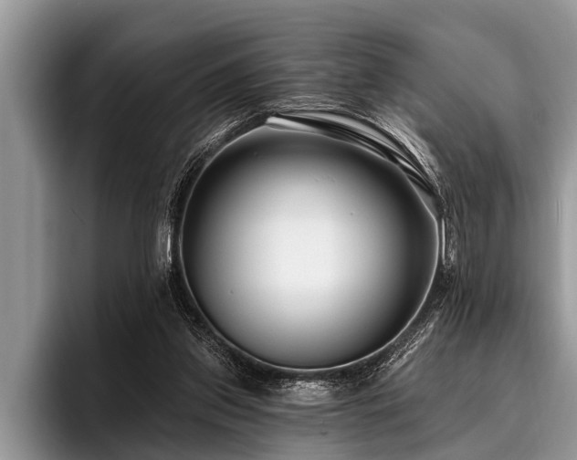 X0000096990157200802081435