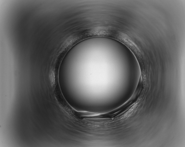 X0000096990158200802081435