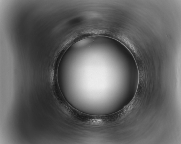 X0000096990159200802081435