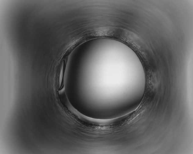 X0000096990164200802081435