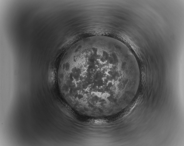 X0000096990165200802081435