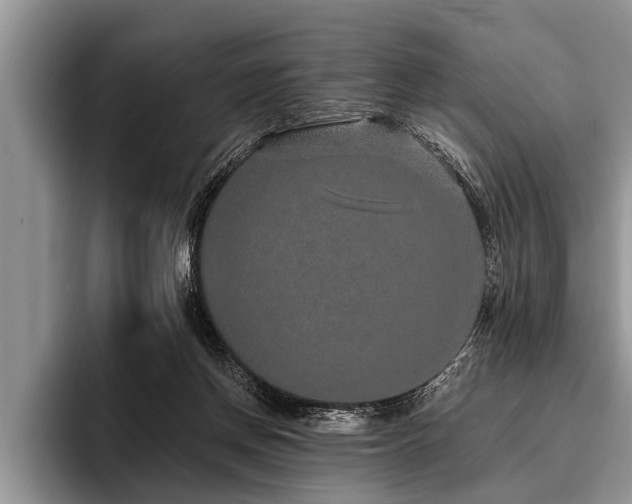 X0000096990166200802081435