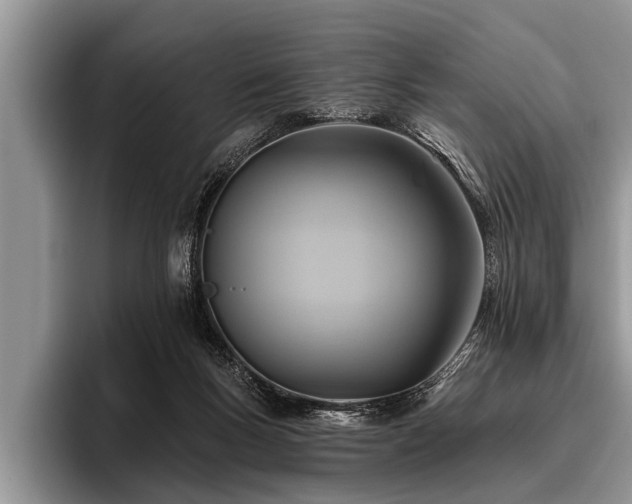 X0000096990167200802081435