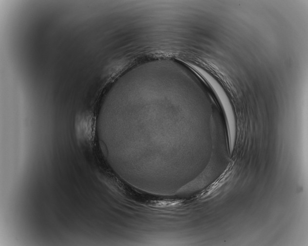 X0000096990168200802081435