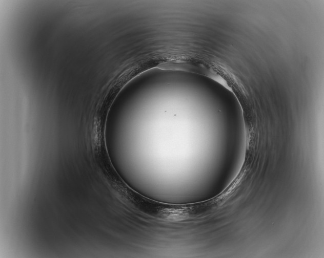 X0000096990170200802081435