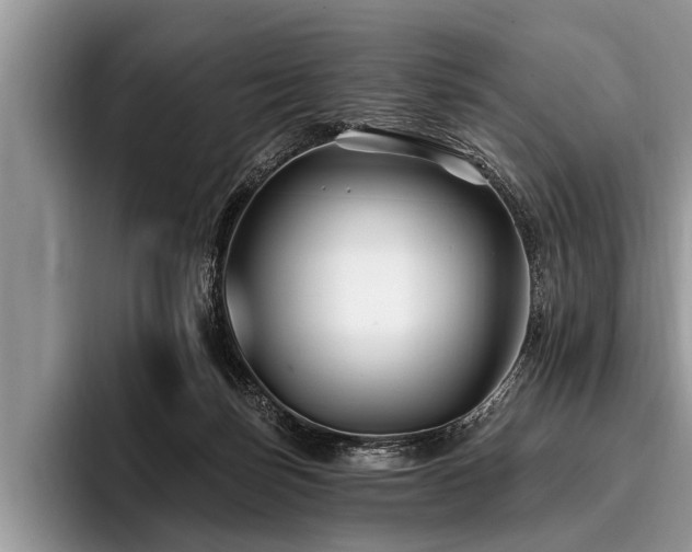 X0000096990171200802081435