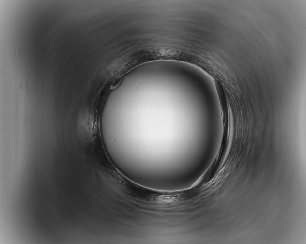 X0000096990176200802081435