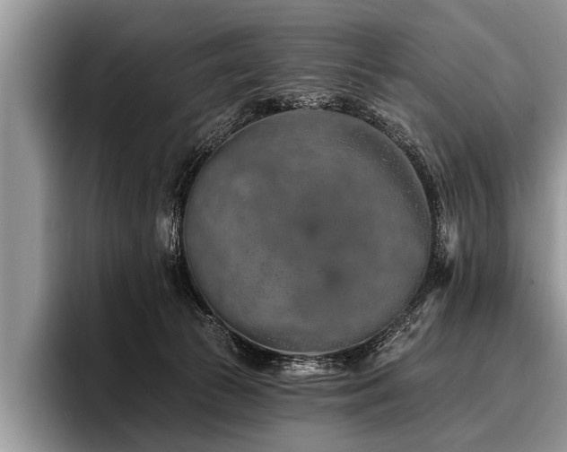 X0000096990177200802081435