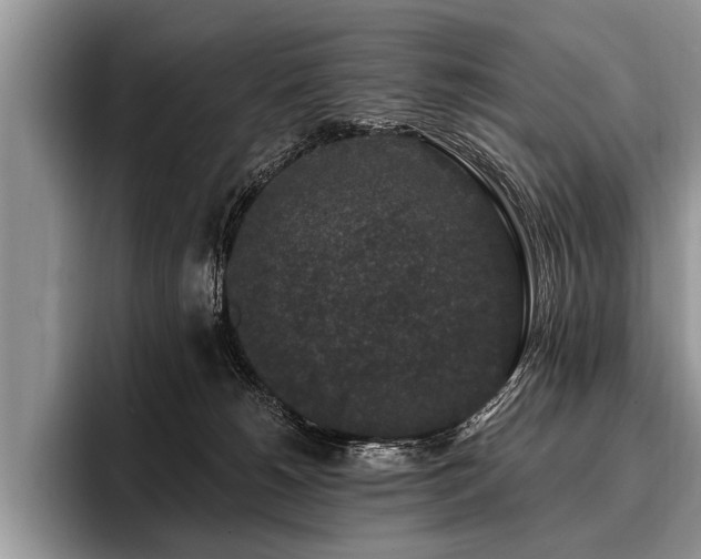 X0000096990180200802081435