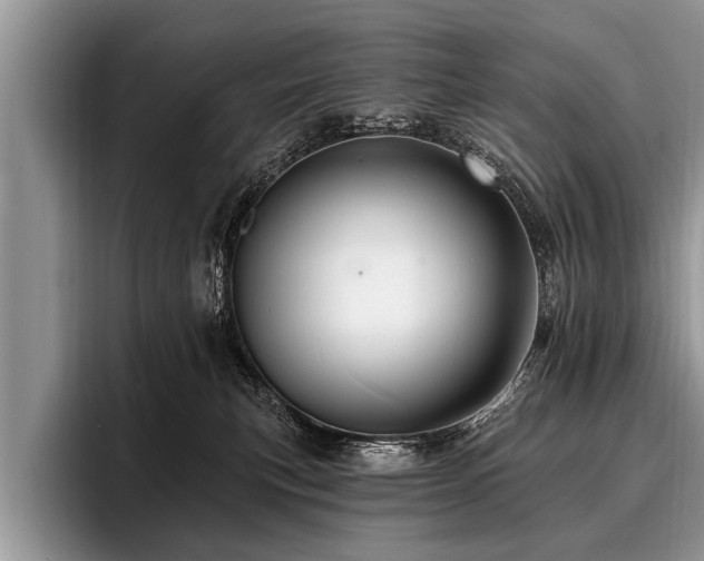 X0000096990183200802081435