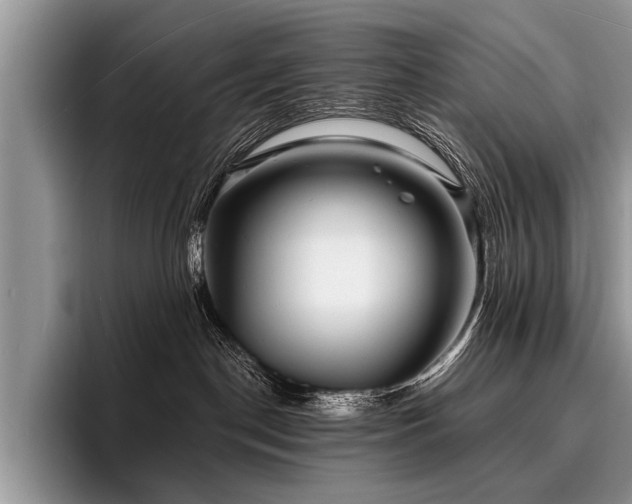 X0000096990190200802081435