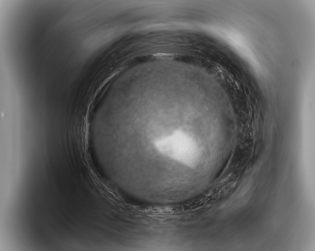 X0000096990194200802081435
