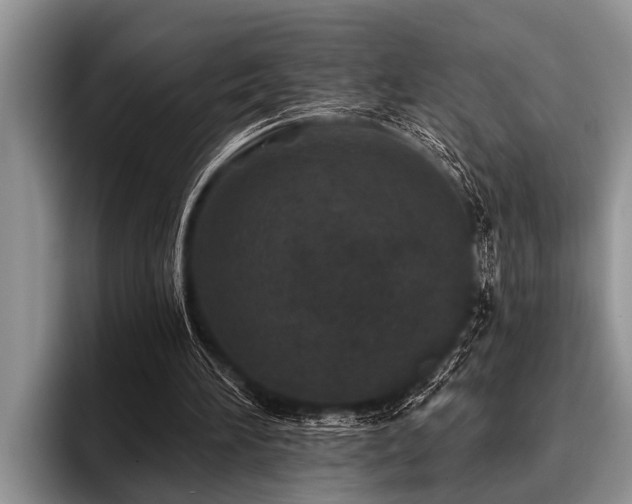 X0000096990196200802081435