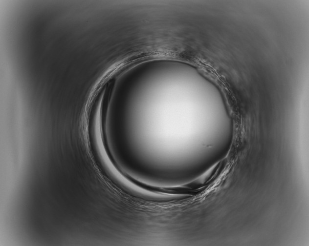 X0000096990197200802081435