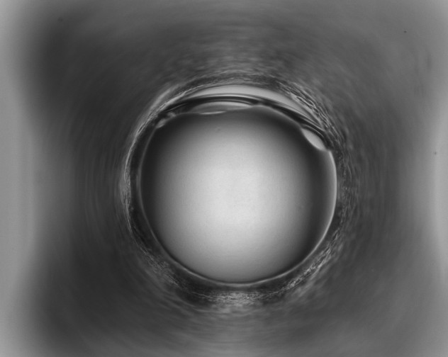 X0000096990198200802081435