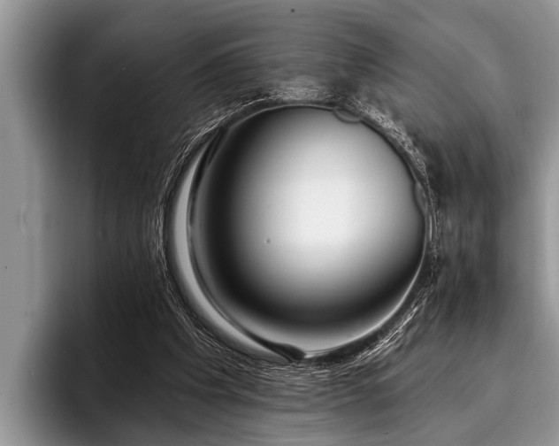 X0000096990201200802081435