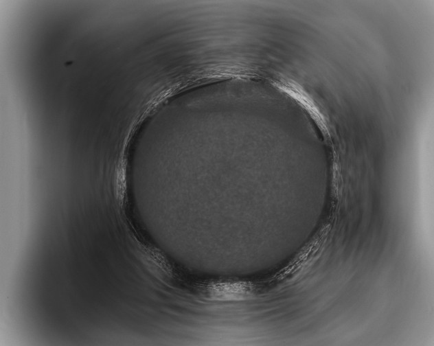 X0000096990202200802081434