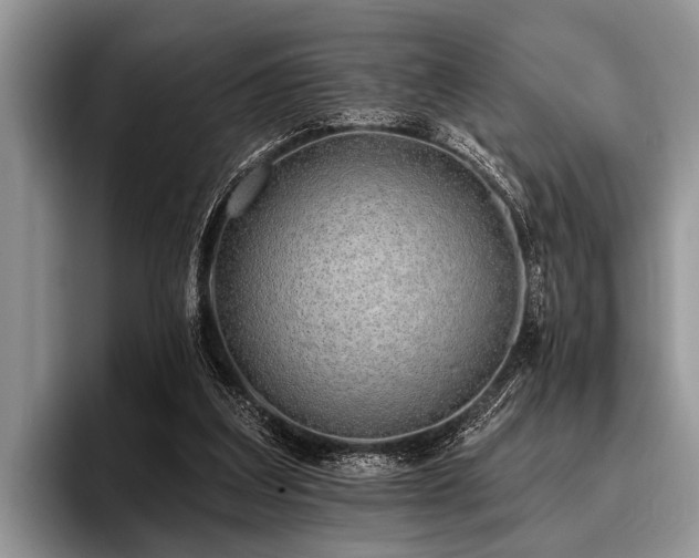 X0000096990203200802081434