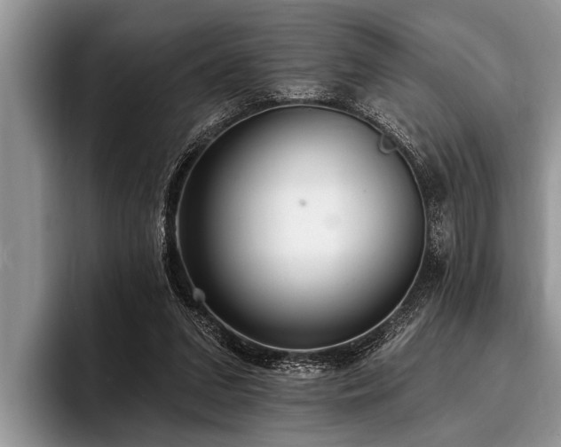 X0000096990207200802081434