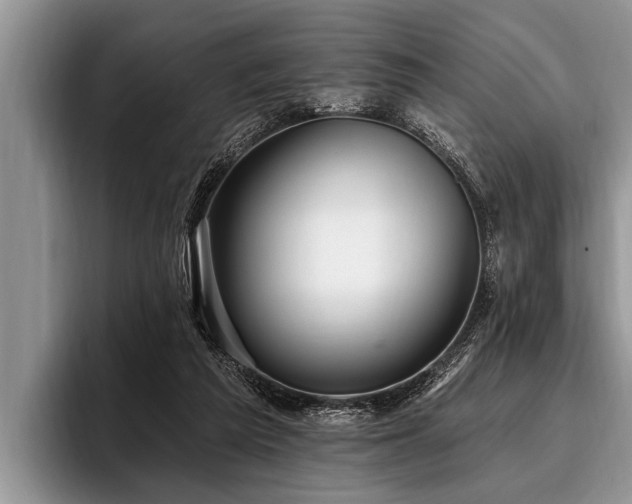 X0000096990209200802081434