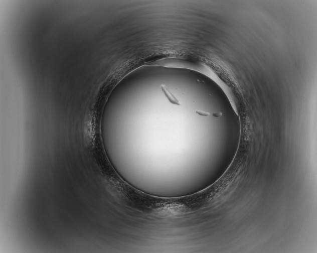 X0000096990210200802081434