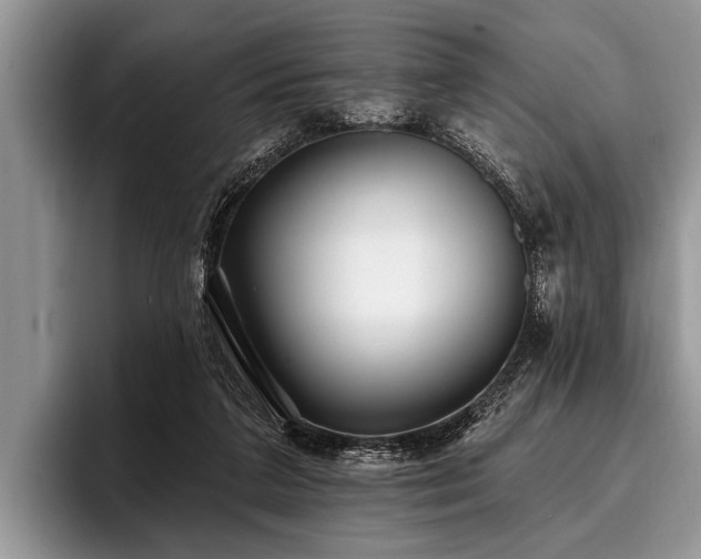 X0000096990211200802081434