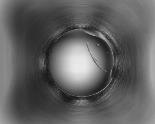 X0000096990212200802081434