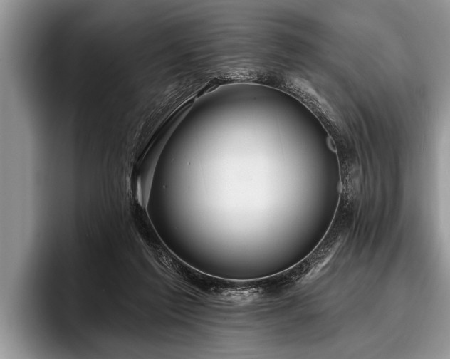 X0000096990213200802081434