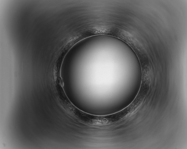 X0000096990215200802081434
