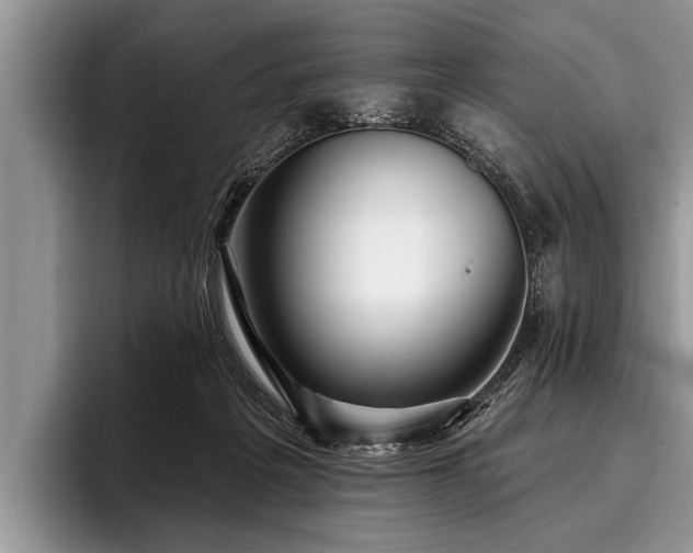 X0000096990217200802081434